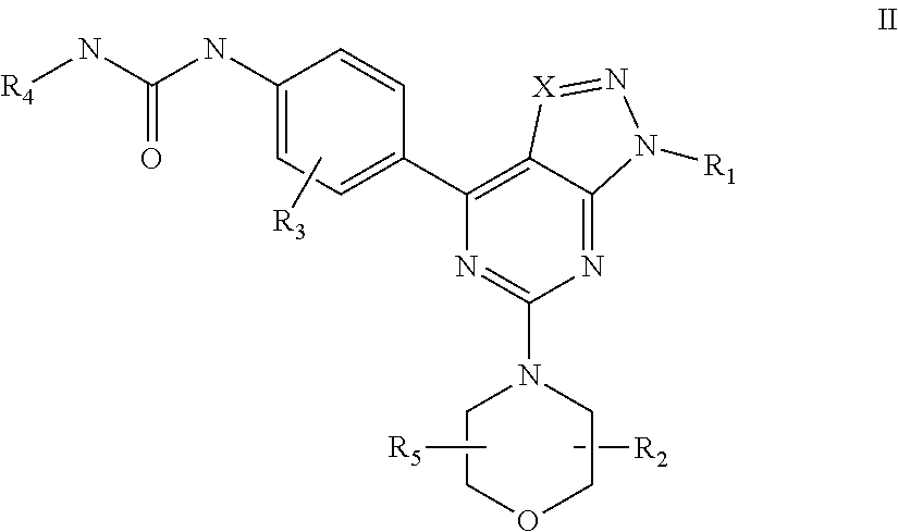 mTOR SELECTIVE KINASE INHIBITORS