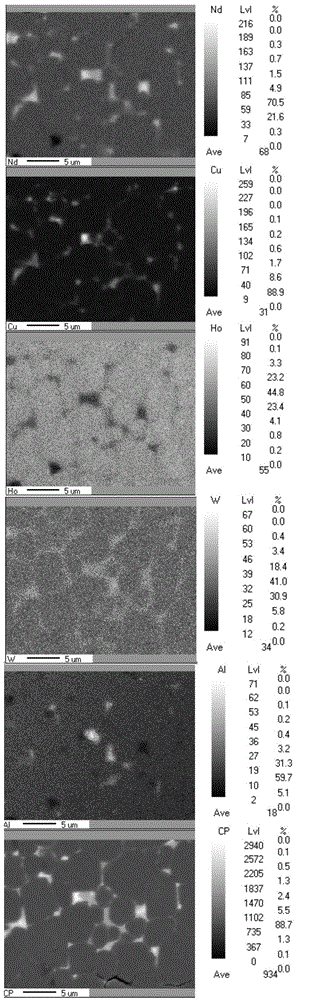 Ho and W containing rare earth magnet