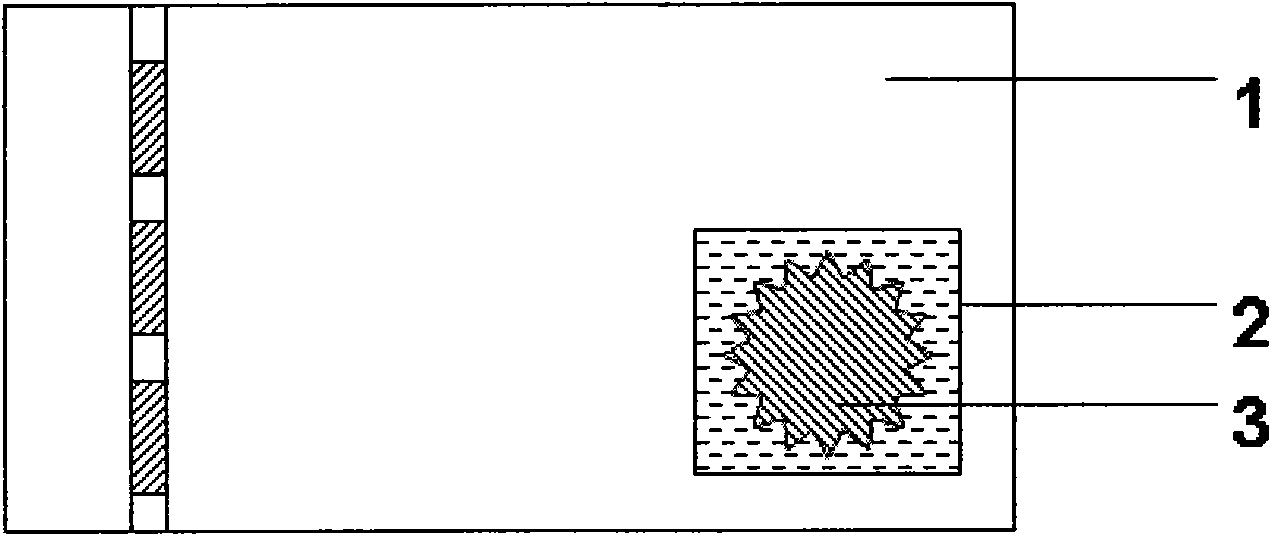 PhotoallergicPhototropic anti-fake element for protectingeventing valuable object