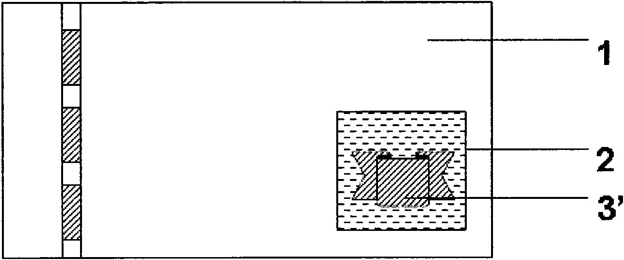 PhotoallergicPhototropic anti-fake element for protectingeventing valuable object