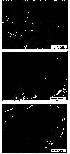 A kind of preparation method of porous ion/molecularly imprinted polymer