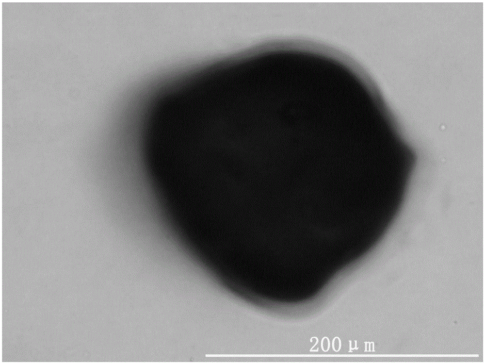 Tissue engineering cartilage composite scaffold and preparation method thereof