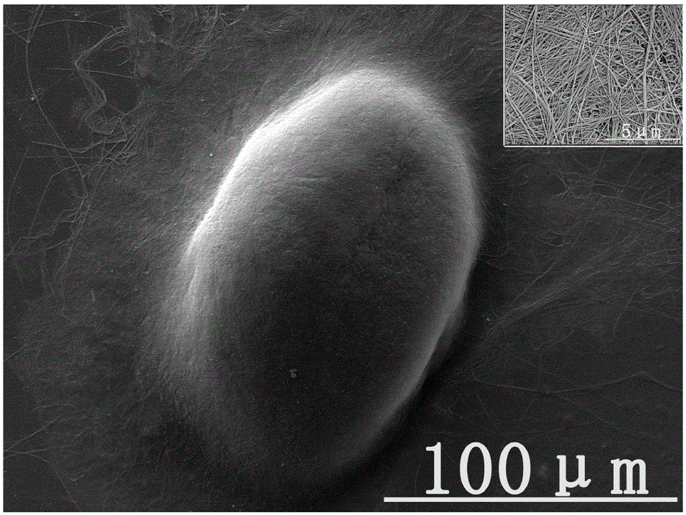 Tissue engineering cartilage composite scaffold and preparation method thereof