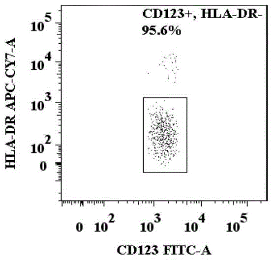 A method for identification of basophil activation and degranulation