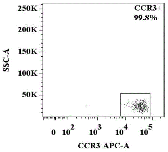 A method for identification of basophil activation and degranulation