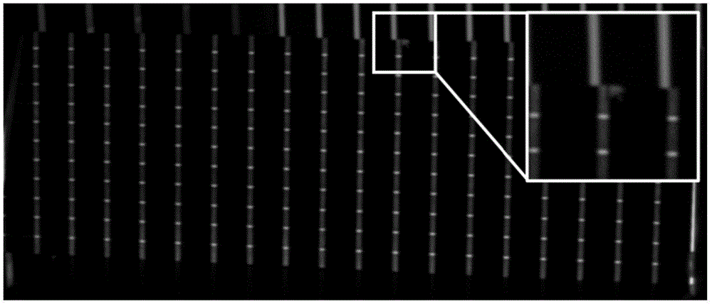 Binocular visual multi-line projection structured light calibration method