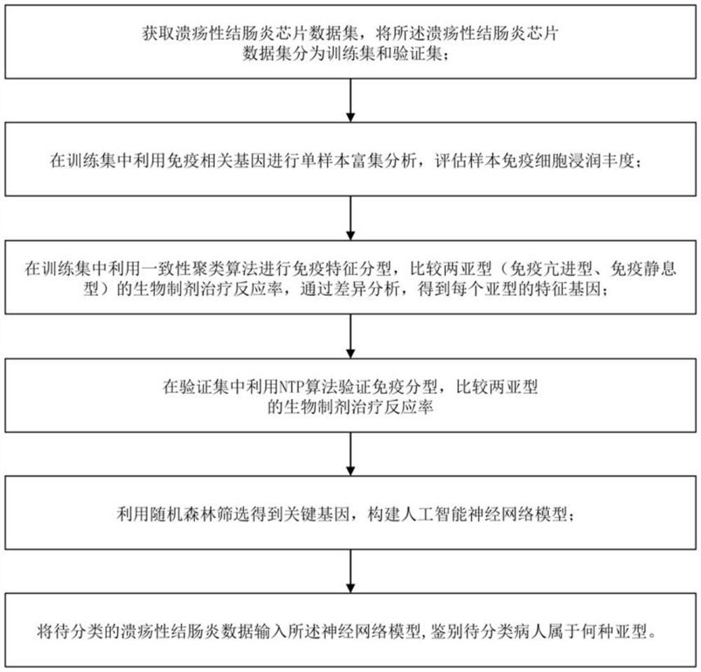 Deep learning-based ulcerative colitis immune typing classification method and system