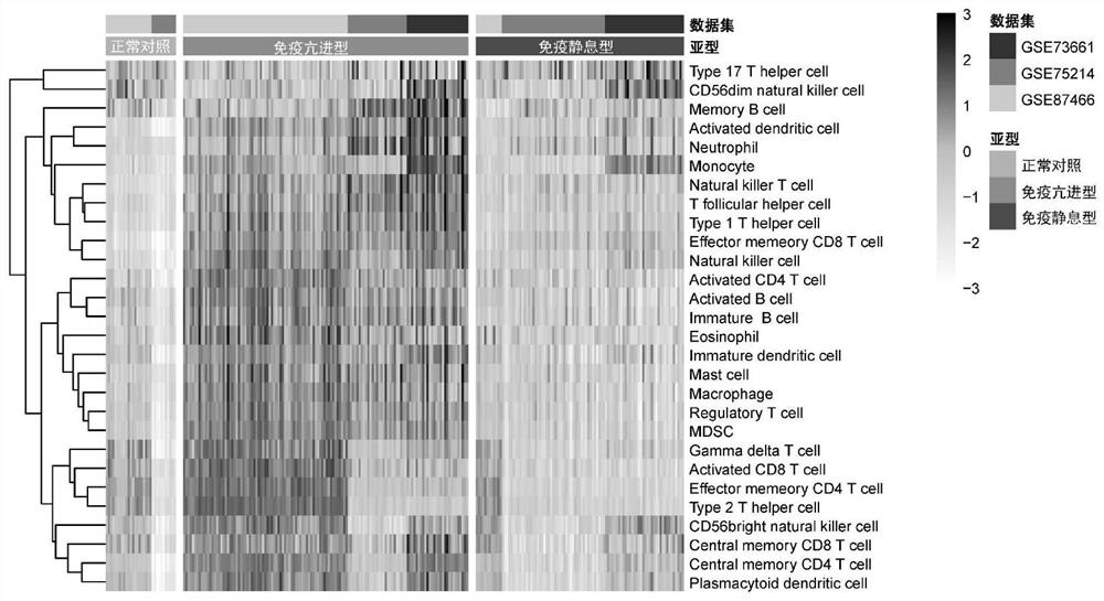 Deep learning-based ulcerative colitis immune typing classification method and system