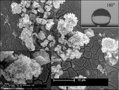 Compound method for preparing magnesium alloy having superhydrophobic surface