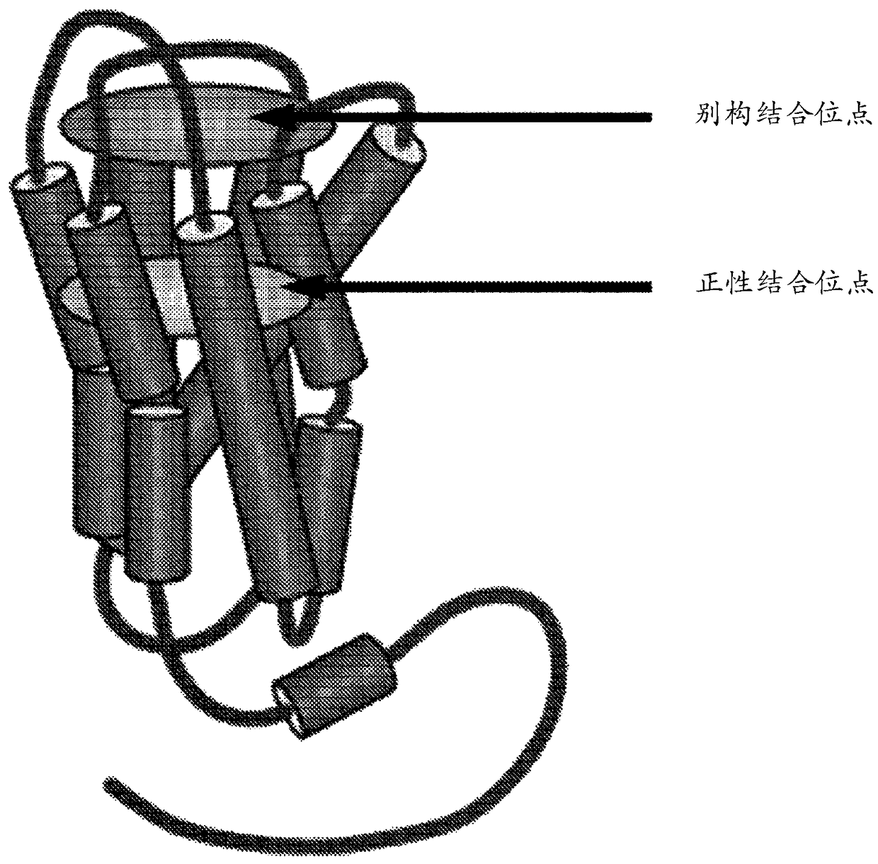 Positive allosteric modulators of the muscarinic acetylcholine receptor m4