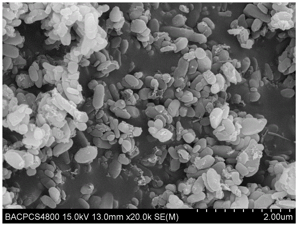 Method for preparing ferrous phosphate-based lithium salt