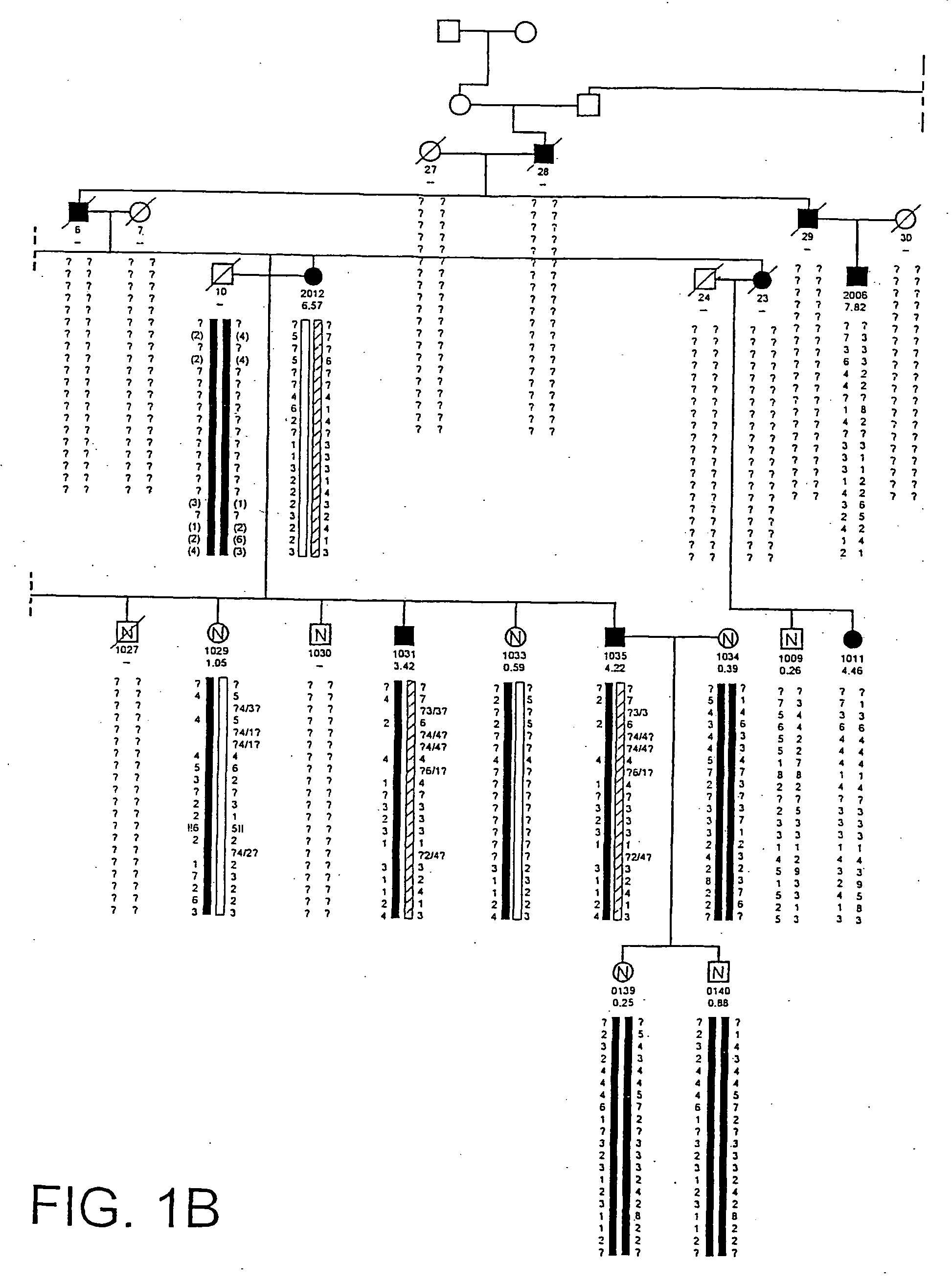 HBM variants that modulate bone mass and lipid levels