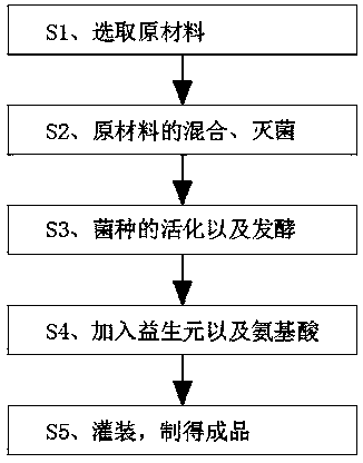 Bifidobacterium bifidum probiotic solid beverage capable of resisting cell aging