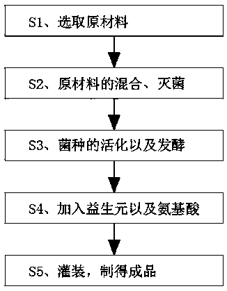 Bifidobacterium bifidum probiotic solid beverage capable of resisting cell aging