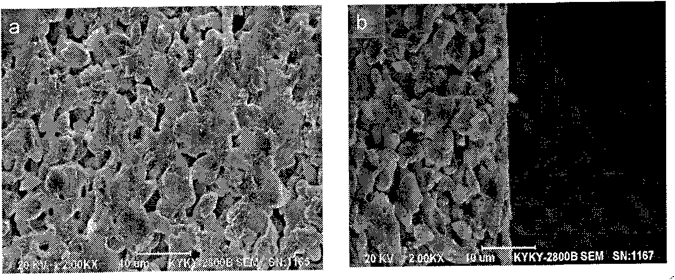 Method for synthesizing NaA zeolite membrane on macroporous carrier