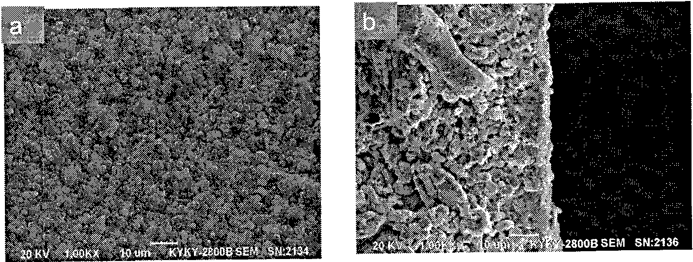 Method for synthesizing NaA zeolite membrane on macroporous carrier