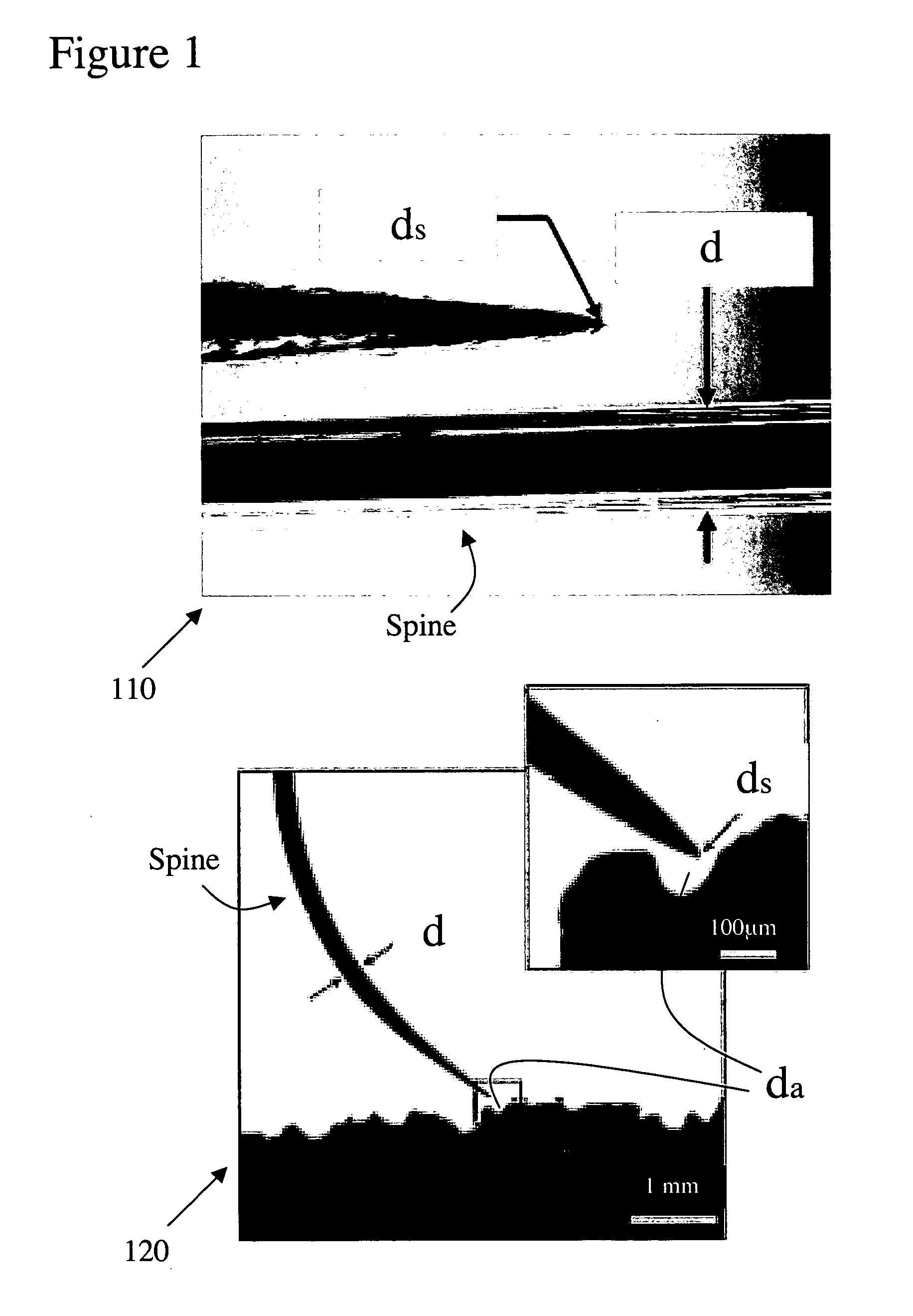 Biologically inspired climbing device