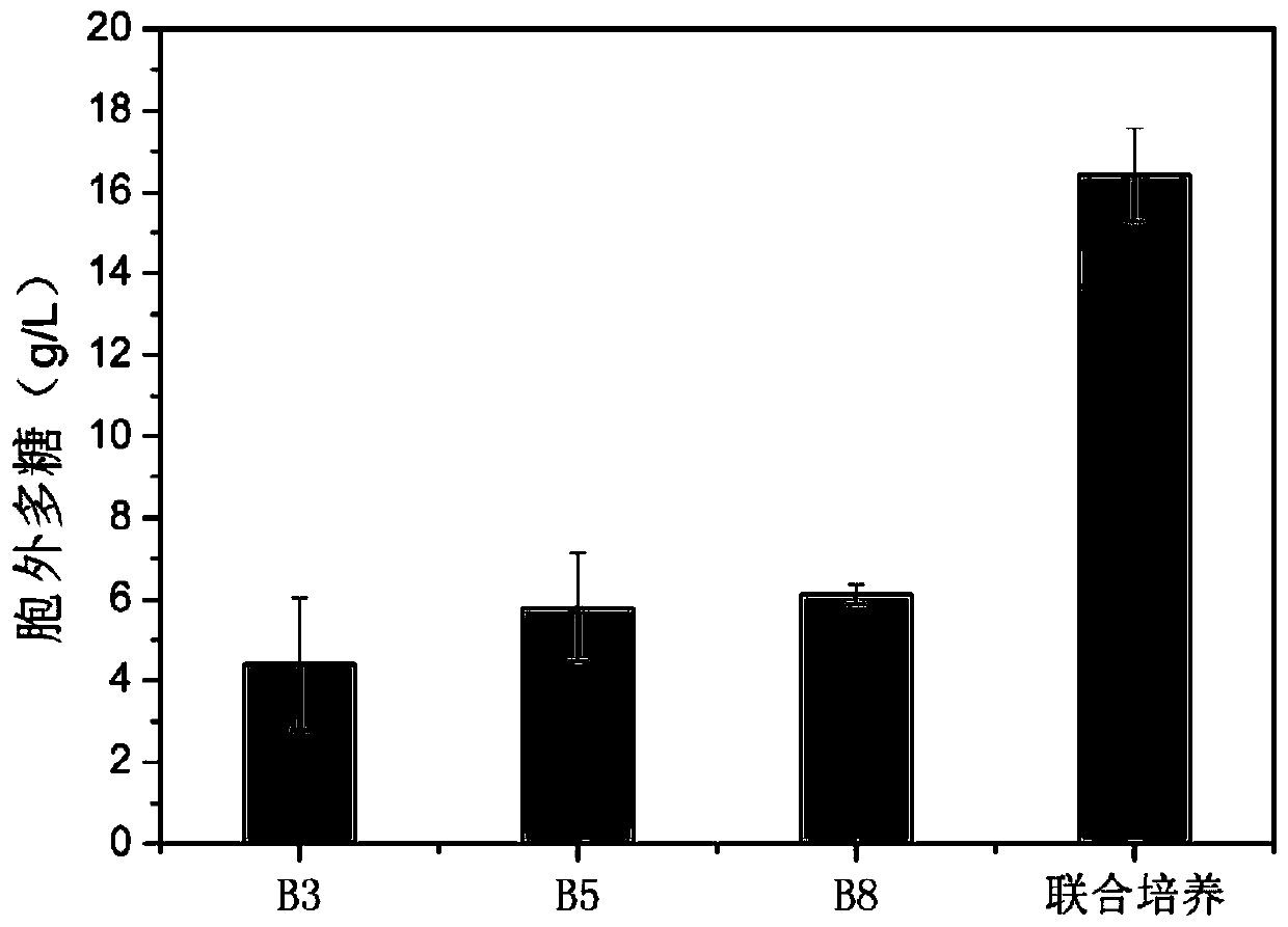 Microbial composition, microbial preparation and method for sandy soil improvement