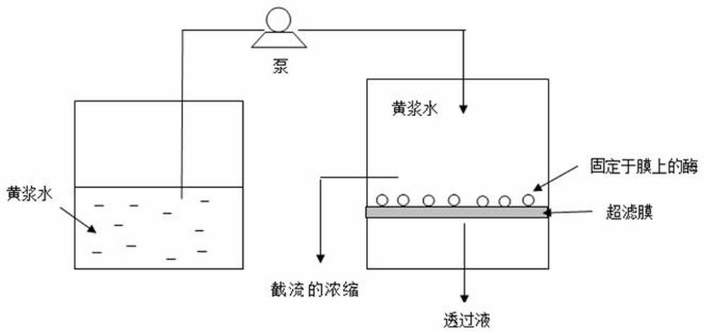 A method for ultrafiltration of protein in deyellowing pulp water using enzyme membrane reactor