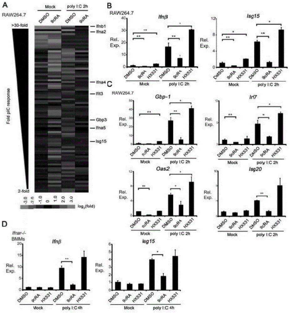 Method for screening Ifn[beta], Isg15, Gbp-1, Oas2, Irf7, Isg20 and Ifn4 agonists and antagonists