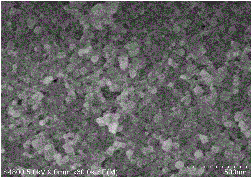 Polyacrylic acid-calcium phosphate composite nano-drug carrier and preparing method and application thereof