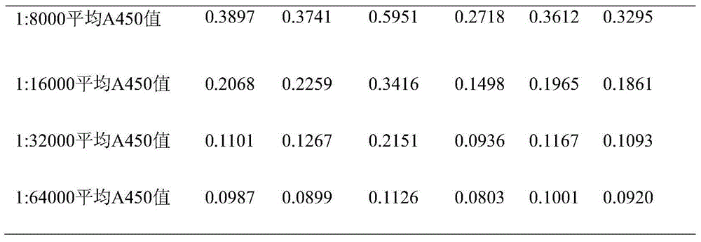 Tetanus toxoid resisting monoclonal antibody, hybridoma cell strain for producing antibody, and application of antibody