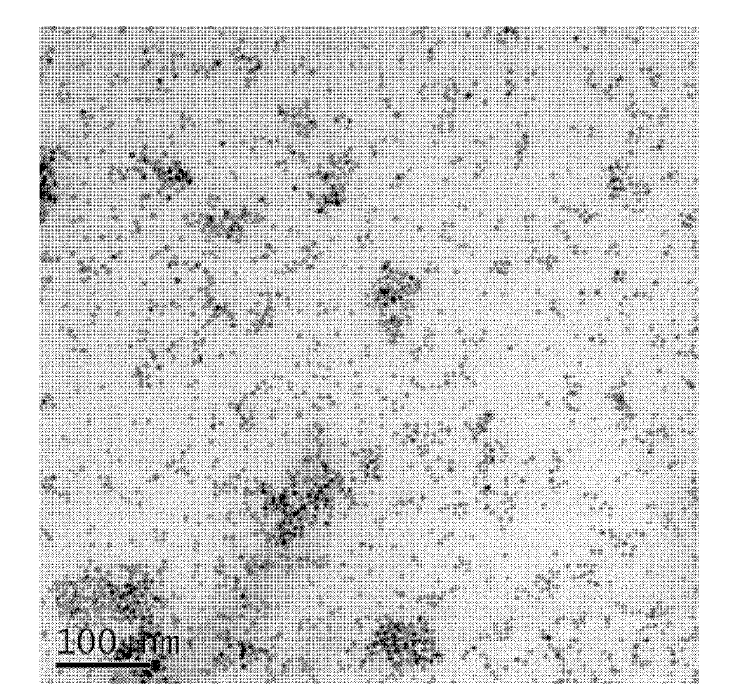 Preparation method of PbTe colloid nanocrystalline self-assembly film