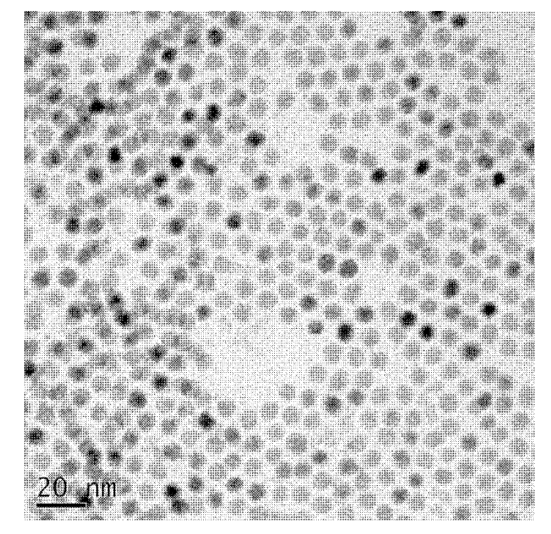 Preparation method of PbTe colloid nanocrystalline self-assembly film