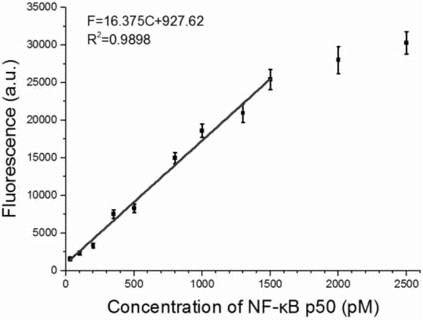 Transcription factor detection method based on DNA-Ag nanoclusters molecular beacons and exonuclease III cycle signal amplification