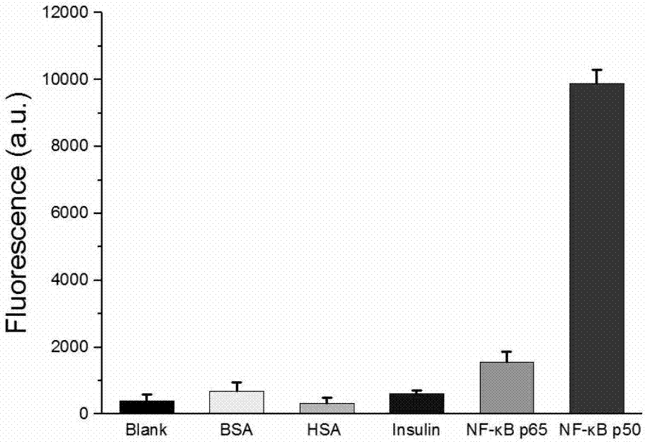 Transcription factor detection method based on DNA-Ag nanoclusters molecular beacons and exonuclease III cycle signal amplification