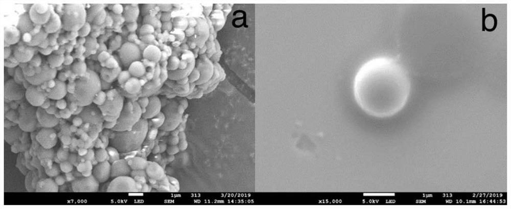 Preparation method of chitosan-loaded ciprofloxacin microsphere