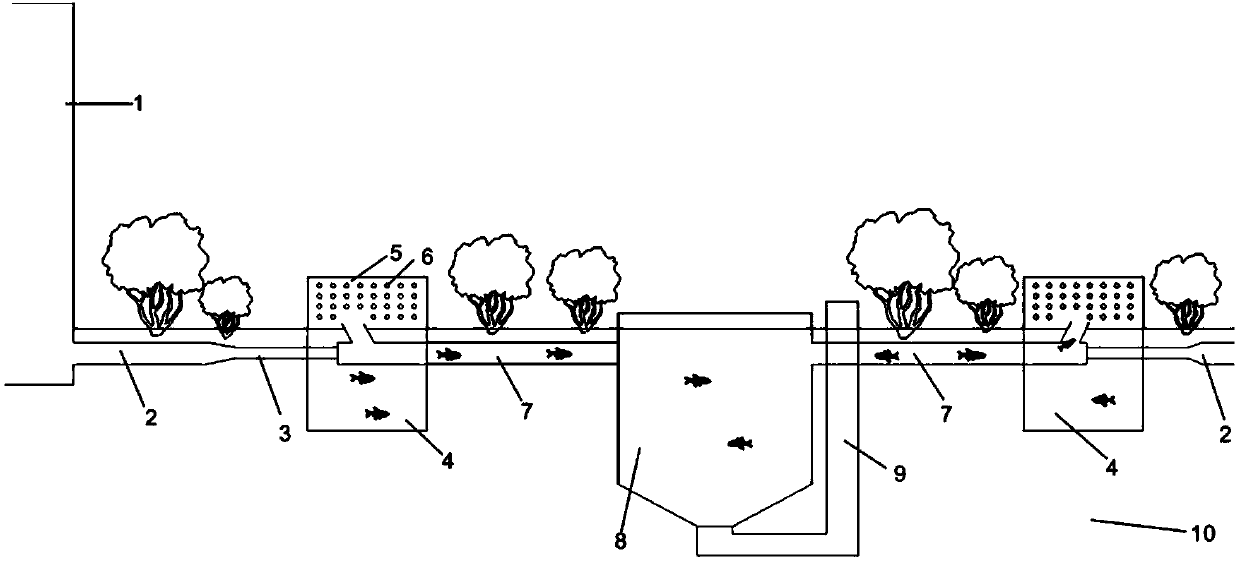 Inter-tidal zone fish deposition habitat and self-purification underground pipeline ecological breeding system