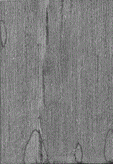 A Phomopsis fungus and its application in the preparation of fungal wood