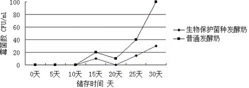 Method for prolonging shelf life of fermented milk by employing biological conservation strains