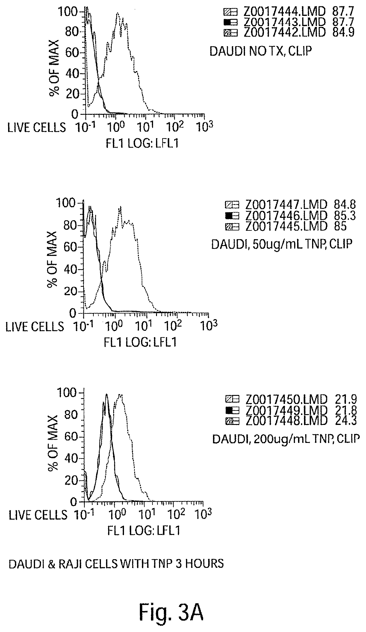 Competitive inhibitors of invariant chain expression and/or ectopic clip binding