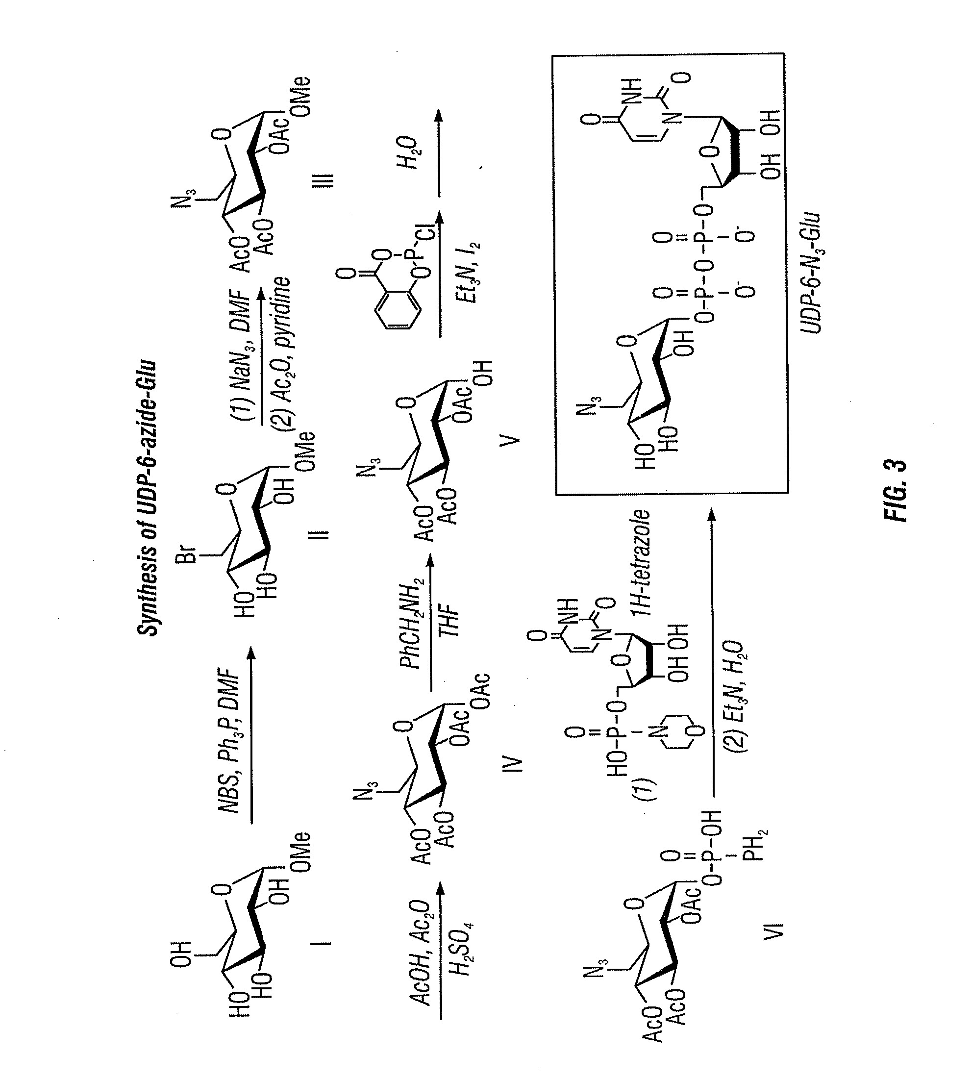 Composition and Methods Related to Modification of 5-Hydroxymethylcytosine (5-hmC)