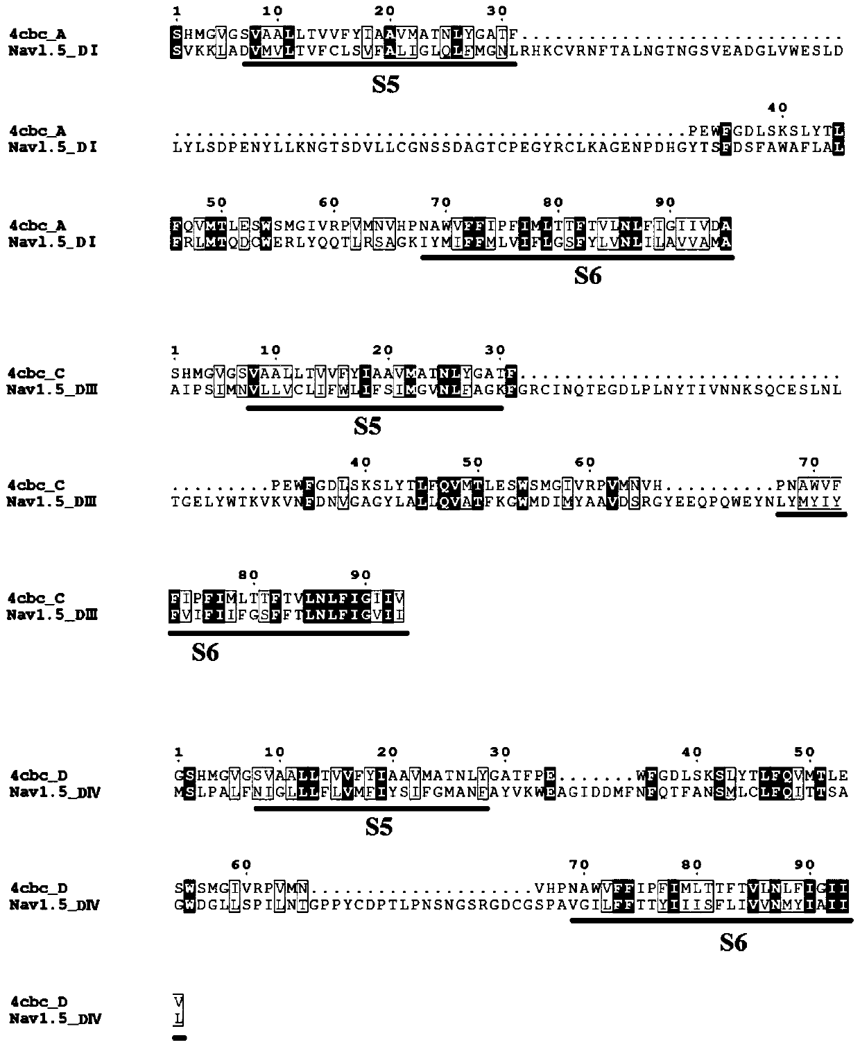 A structure prediction method for voltage-gated sodium ion channels