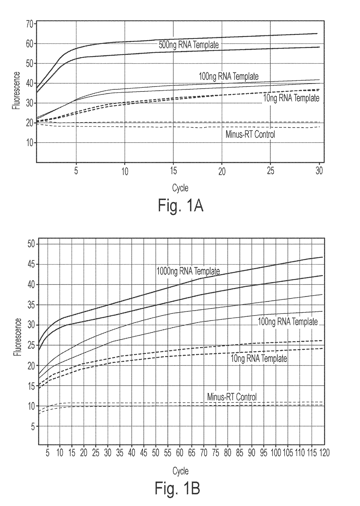 Quantification of RNA