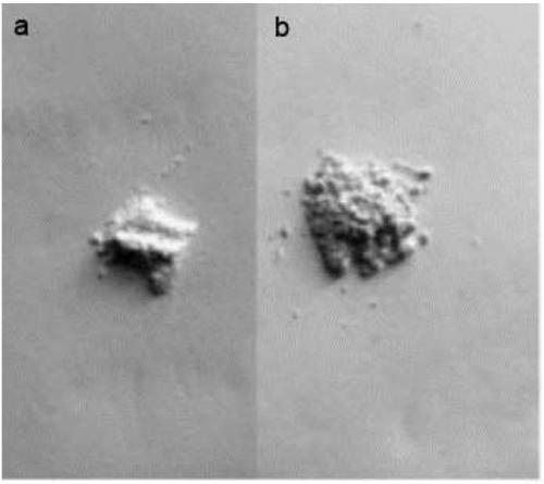 A tio2 hierarchical structure with visible light response and its preparation method