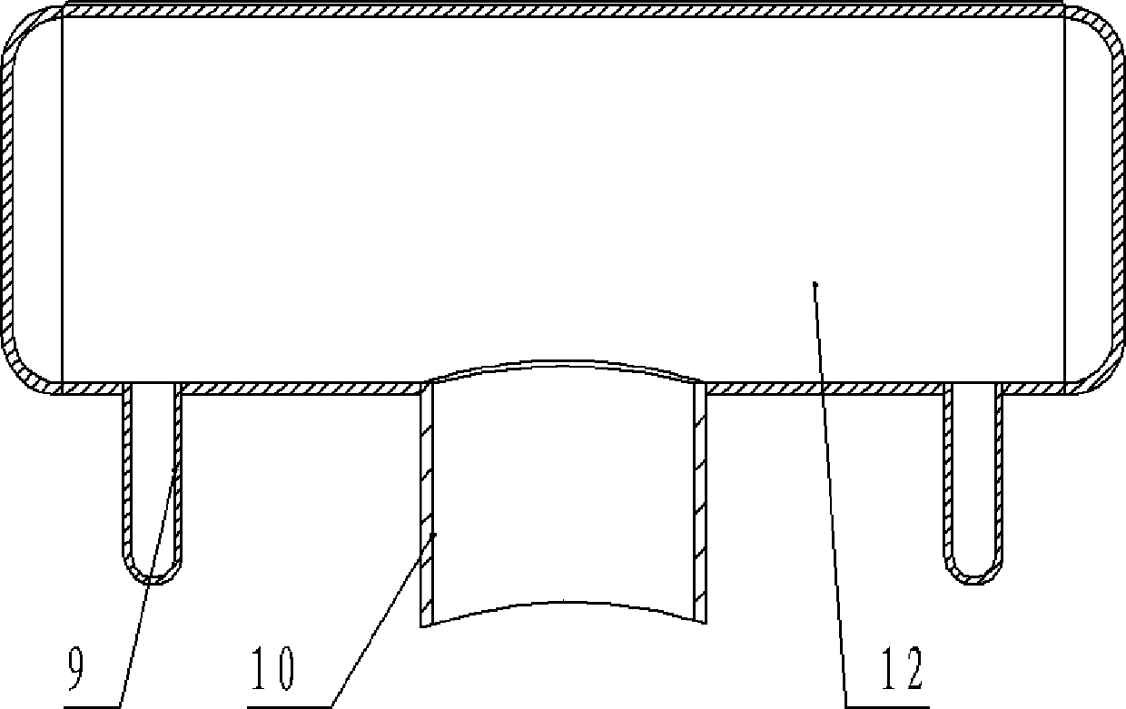 Biomass barbecuing device