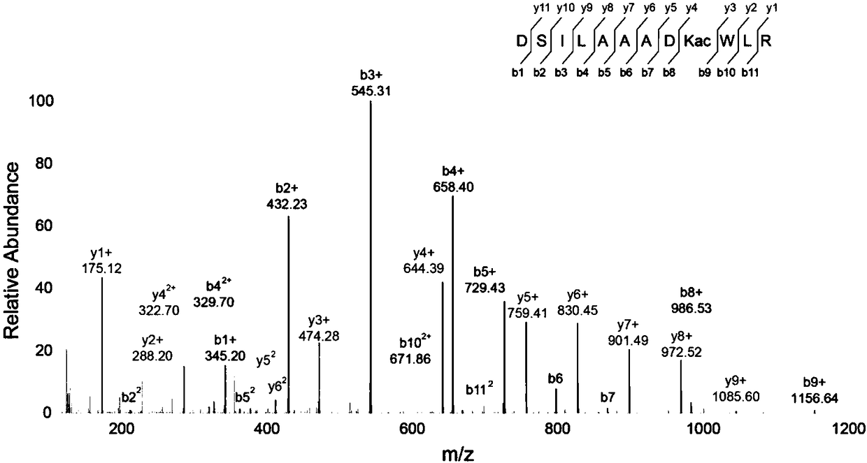 Detection and quantification method for post-translational modification proteomics