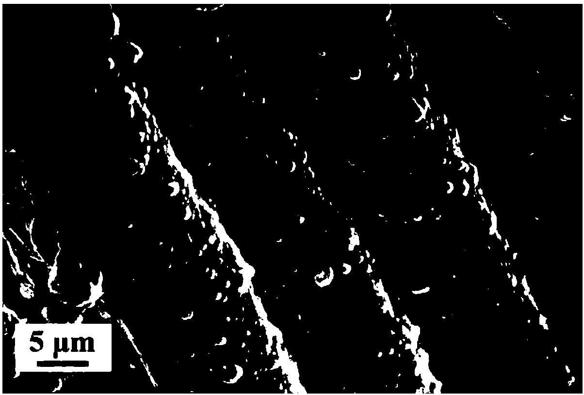 Magnetic super-hydrophobic fabric and preparation method thereof