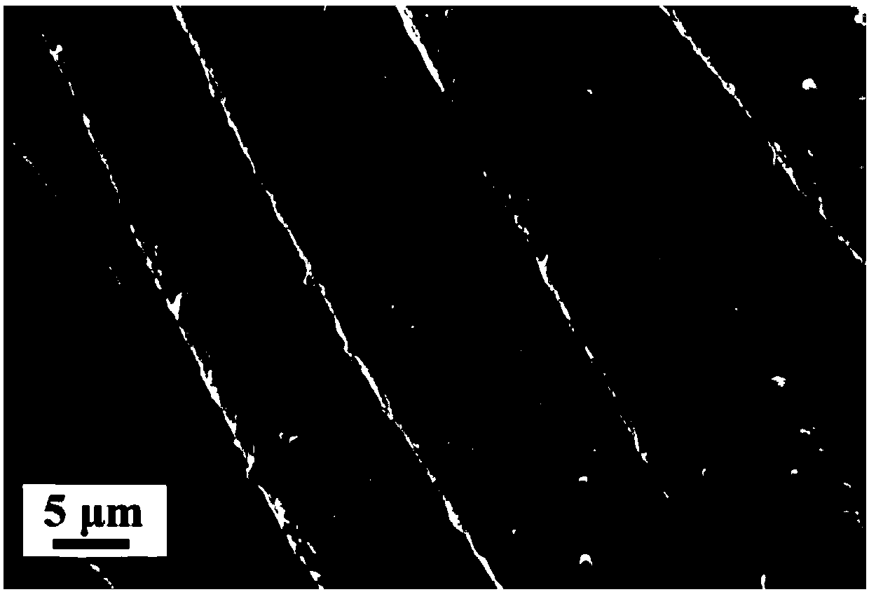 Magnetic super-hydrophobic fabric and preparation method thereof