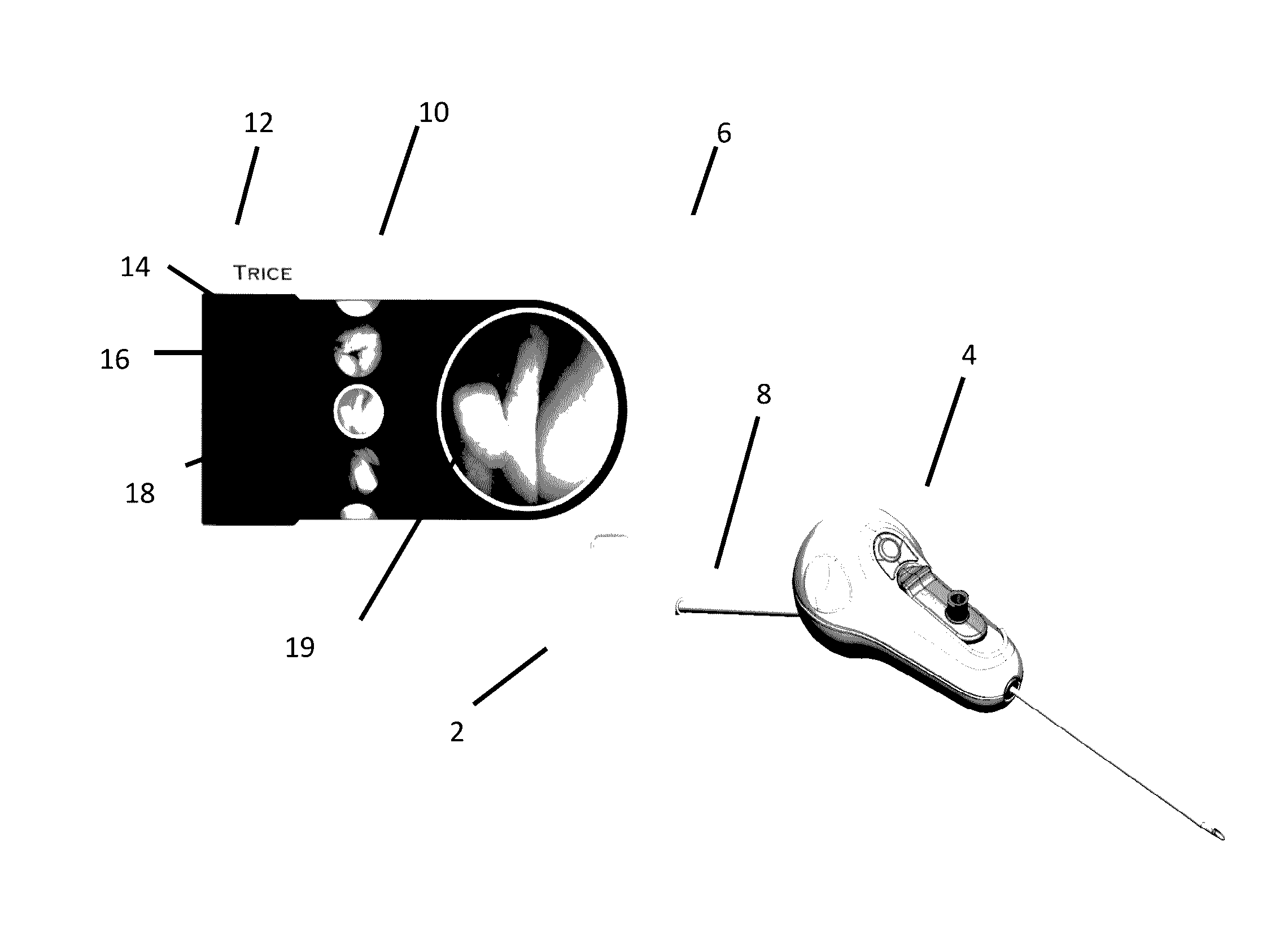 Fully integrated, disposable tissue visualization device