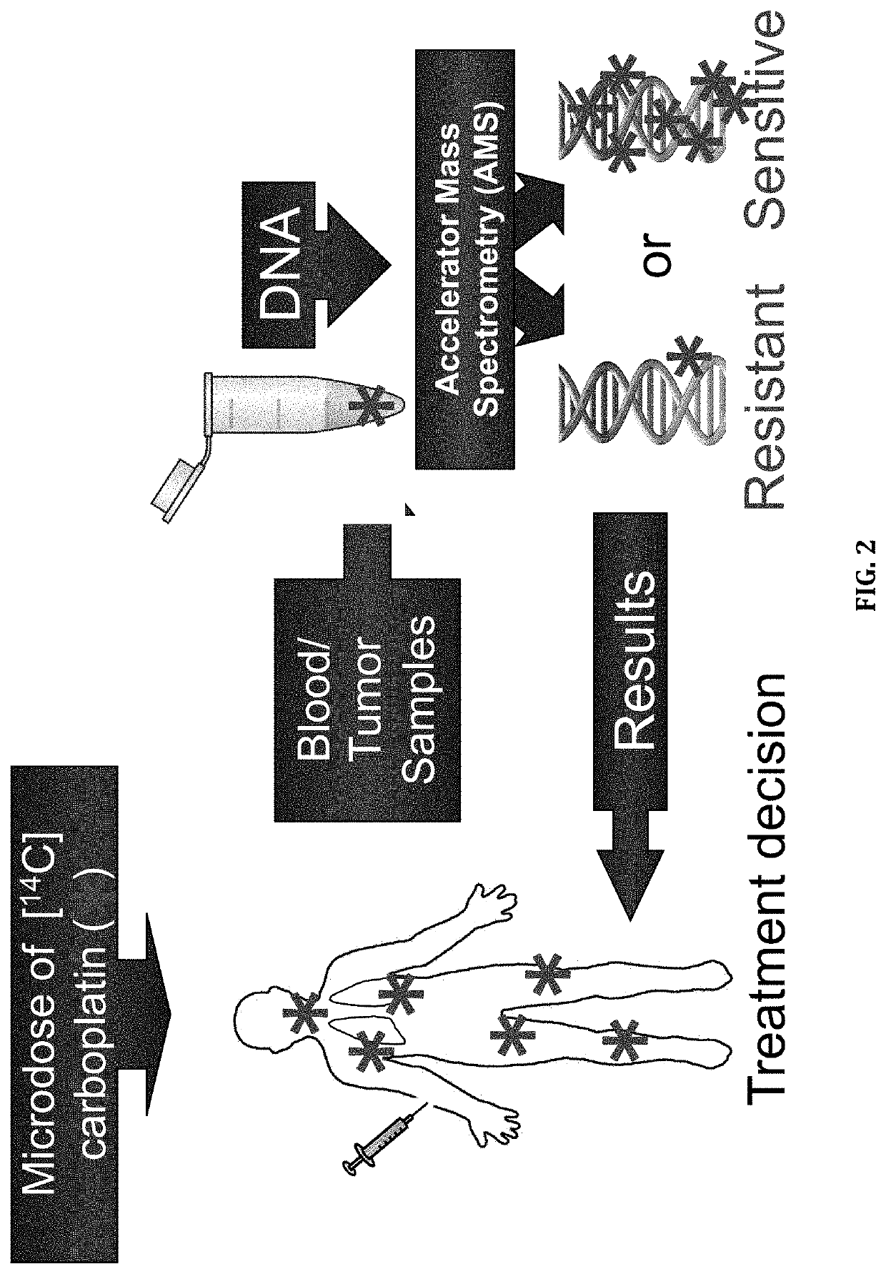 Cytotoxic Chemotherapy-Based Predictive Assays for Acute Myeloid Leukemia