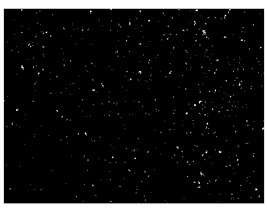 Non-tumorigenic MDCK cell line used for amplifying influenza viruses and screening method thereof