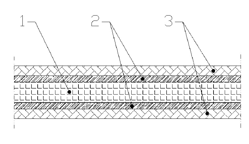 Inorganic nano-silver mildew-proof antibacterial healthy decorative veneer and manufacturing method thereof