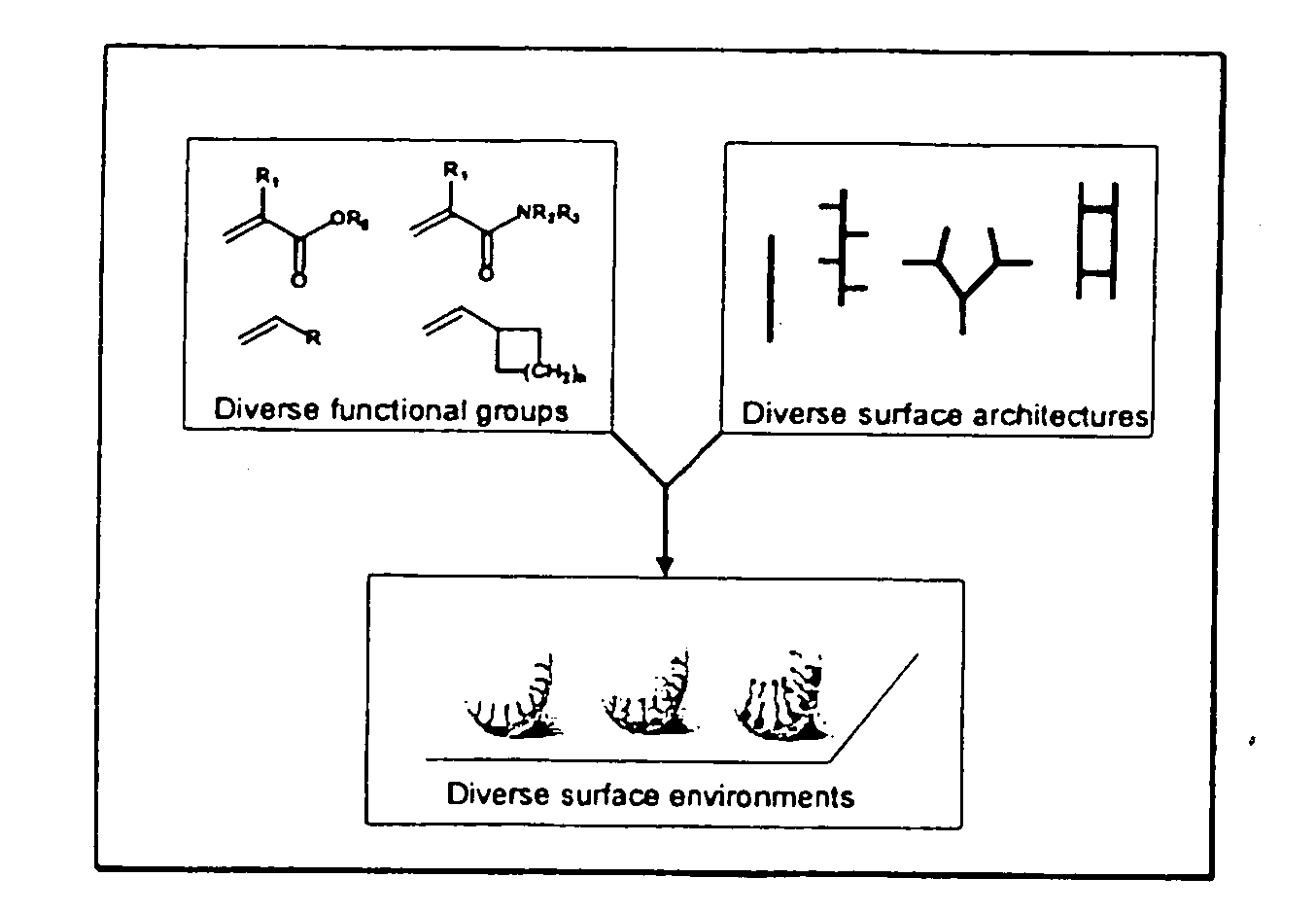 Generation of surface coating diversity