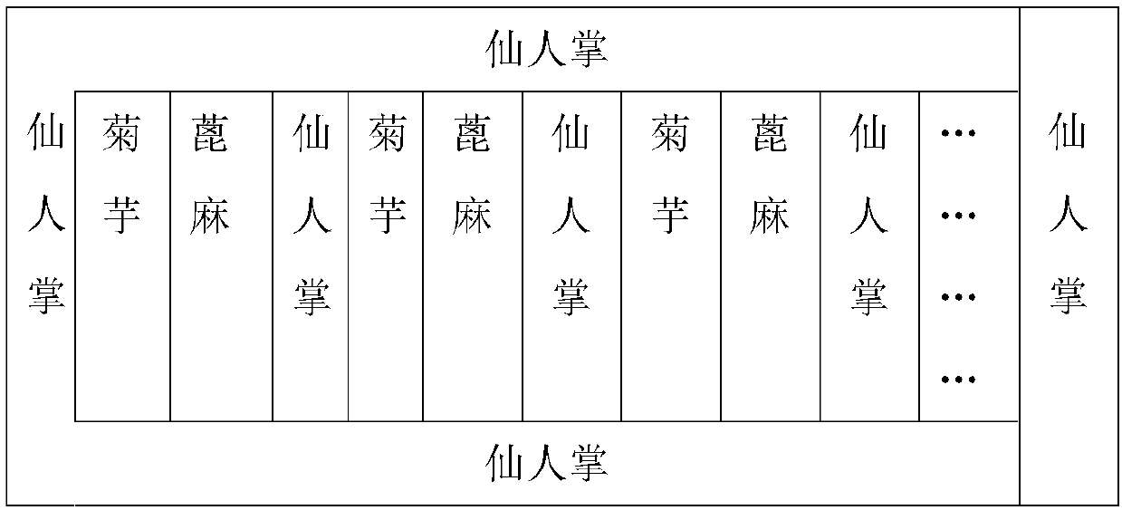 Method for improving seashore saline land by plant intercropping