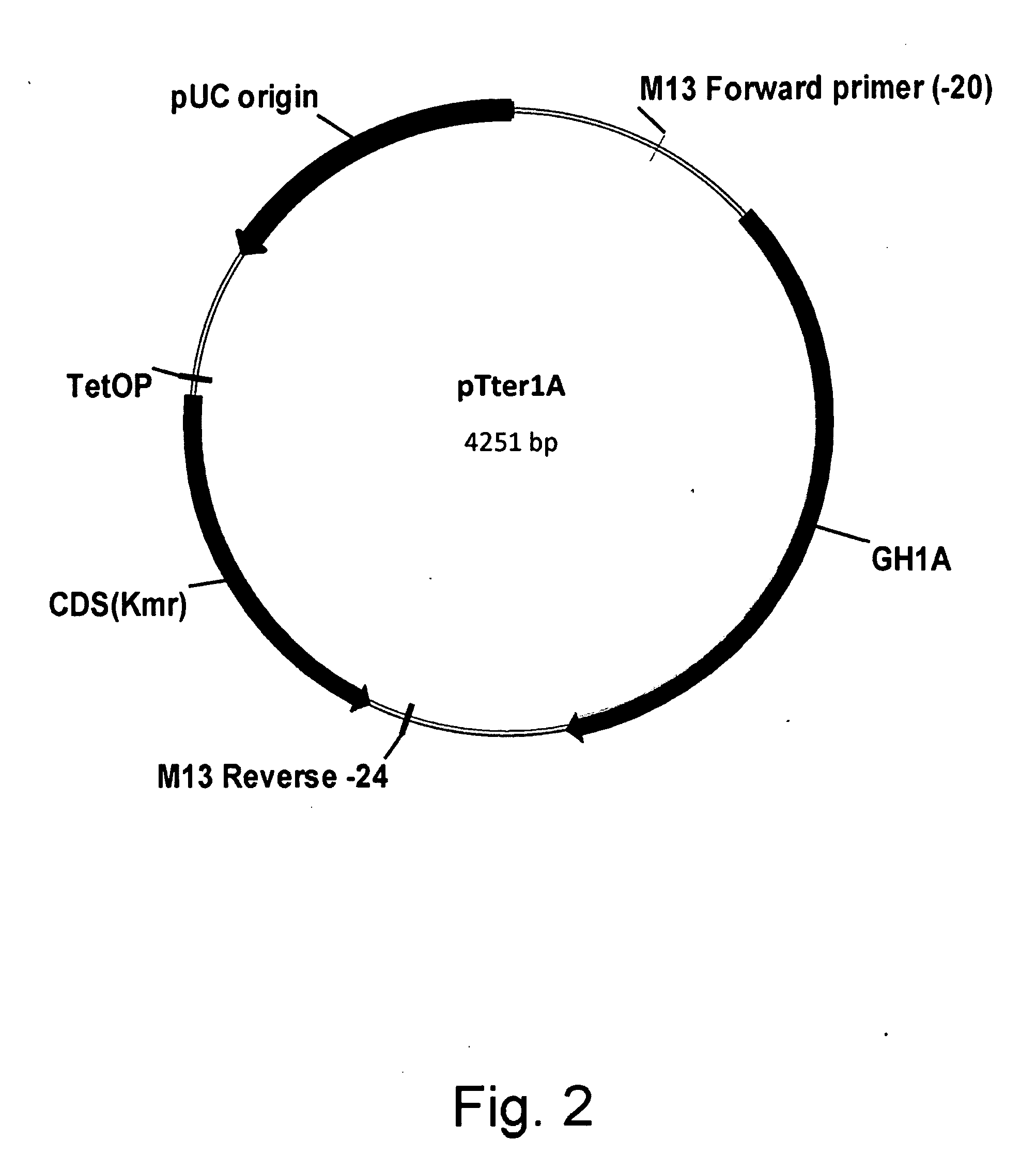 Polypeptides having beta-glucosidase activity and polynucleotides encoding same